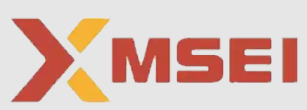 MSEI